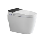 Azure Smart Toilet (SENA)