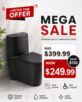 Azure Natt (Matte Black) - One Piece Toilet with Elongated Bowl