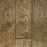 Forest Trail – American Hickory