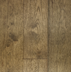 Forest Trail – American Hickory