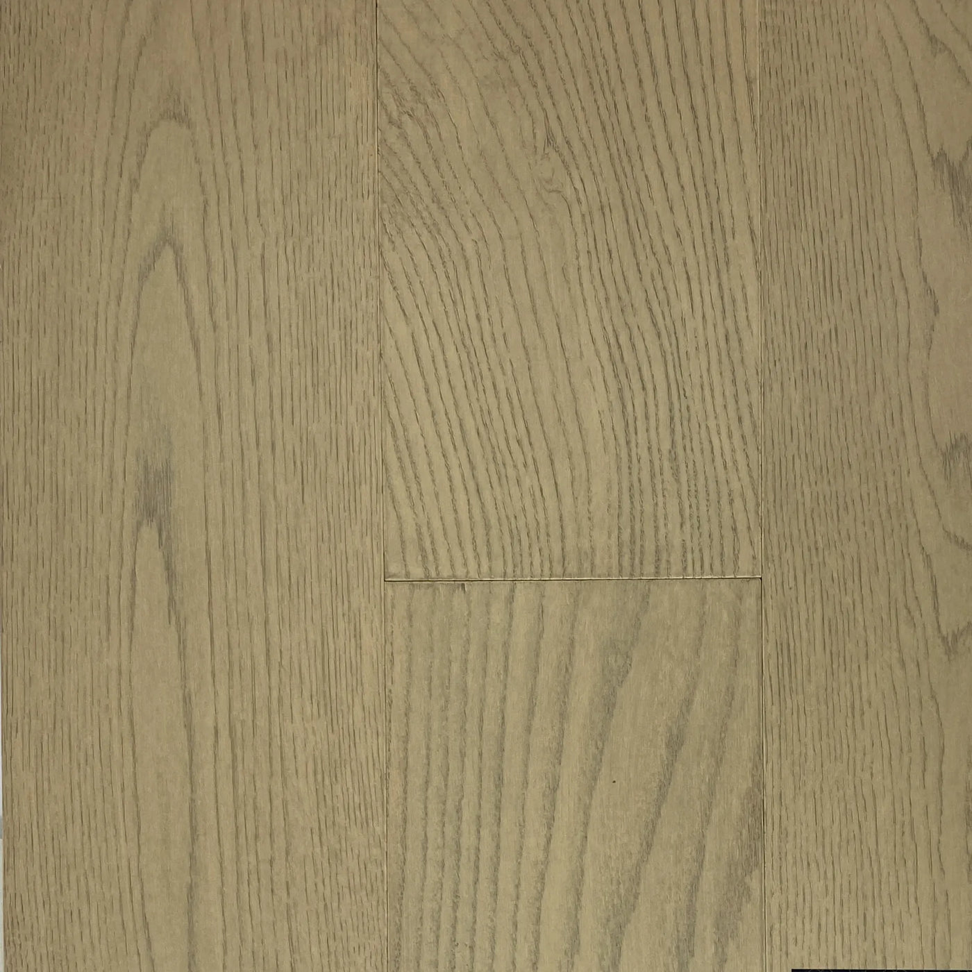Constance – Oak