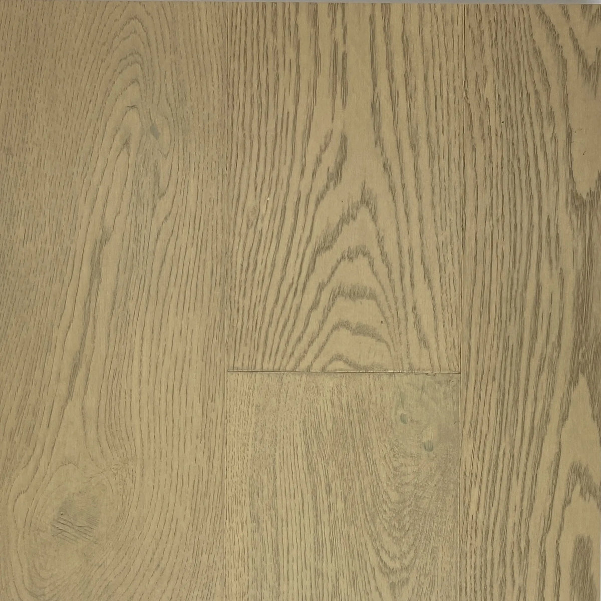Evelyn – Oak