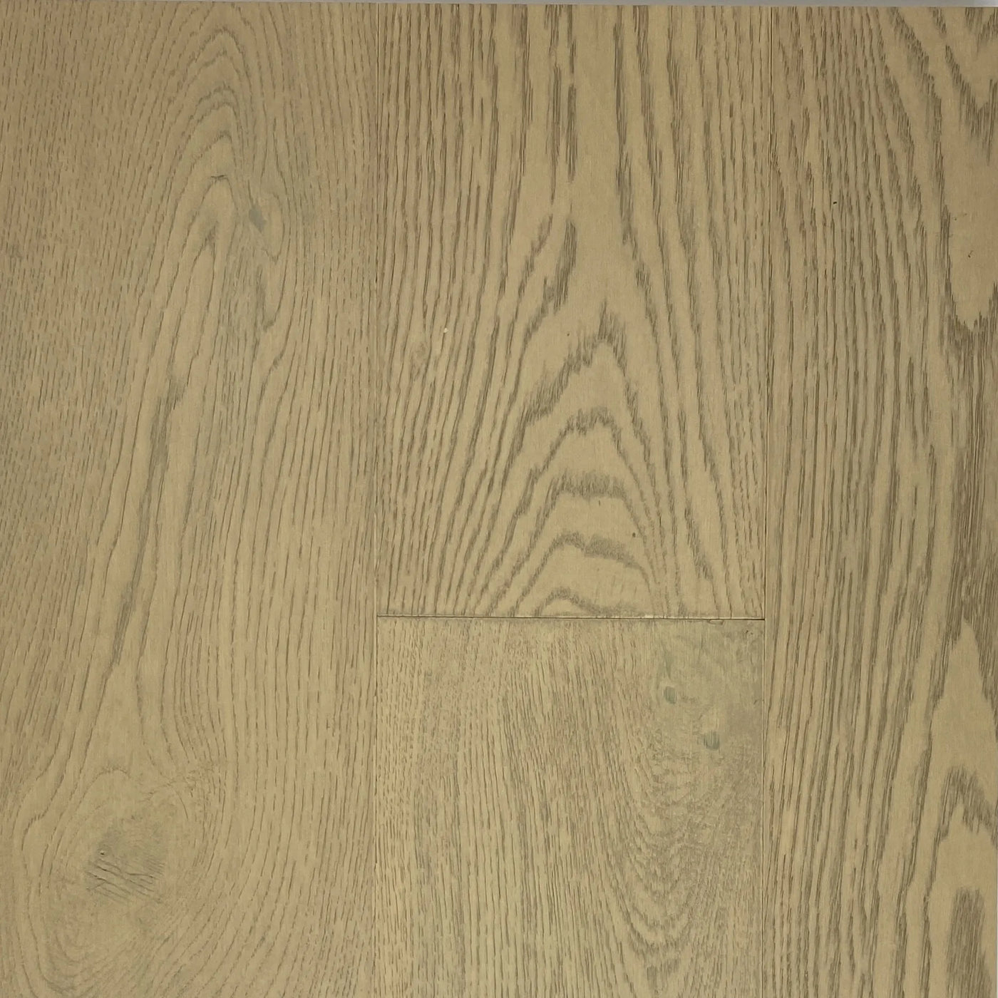Evelyn – Oak