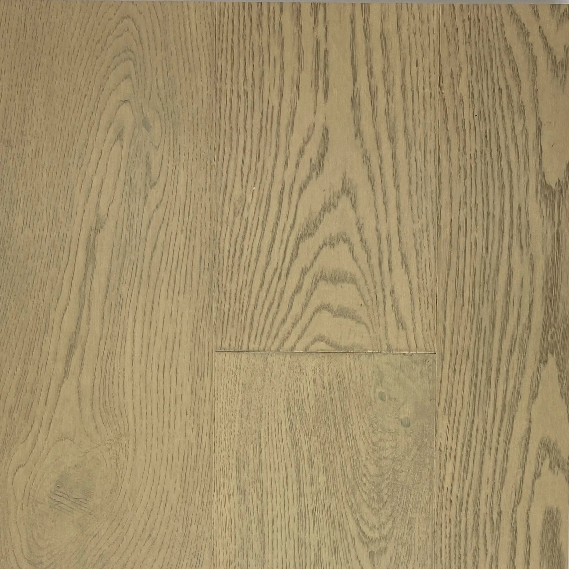 Evelyn – Oak