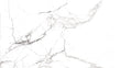 EMOTIVE ASTONISHED WHITE