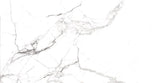 EMOTIVE ASTONISHED WHITE