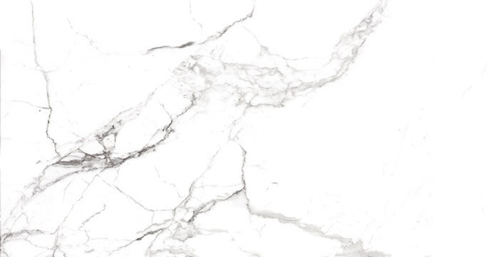 EMOTIVE ASTONISHED WHITE