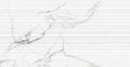 EMOTIVE ASTONISHED WHITE TEXTURED