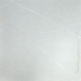 CAMELLIA SILVER