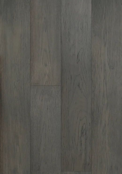 Transitional Grey