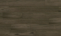 Modern Grey