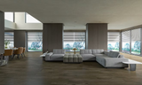 Modern Grey