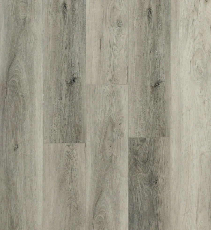 Omni