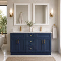 Blue Shaker